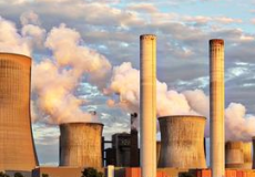 COP 15 : l’adoption d’un cadre mondial historique pour la biodiversité