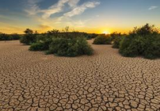 Plan de sobriété eau : participez au groupe de travail CPME