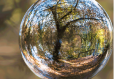 Tout savoir sur le plan de sobriété, acte 2