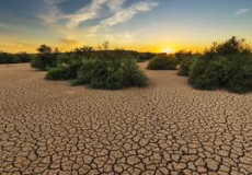 Actualités environnementales