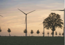 Publication de deux nouvelles études sur le développement durable