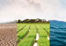 Lancement de la consultation publique sur le plan national d’adaptation au changement climatique 3