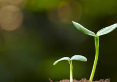 Appel à projet FASEP : valorisez vos solutions innovantes pour faire face aux défis climatiques