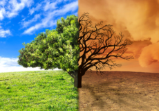 Changement climatique : un rapport sur l’assurabilité des risques climatiques a été publié par le gouvernement