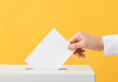 Calendrier de propagande électorale des TPE