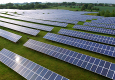 Biodiversité, publicités lumineuses : vos actualités