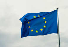 miniatures-le-conseil-national-de-lindustrie-plaide-pour-une-preference-europeenne-renforcee