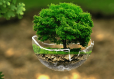 miniatures-loi-de-finances-pour-2025-les-principales-mesures-en-matiere-de-transition-ecologique