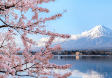 saisissez-les-opportunites-offertes-par-le-japon-visionnez-le-replay-du-webinaire.